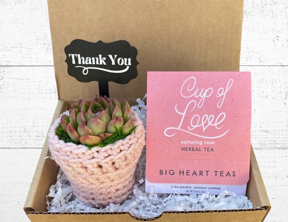 Thank You Gift Box - Care Package - Plant Gift Box - Succulent with Plant Cozy, Thank You Plant Stake and Tea for Two