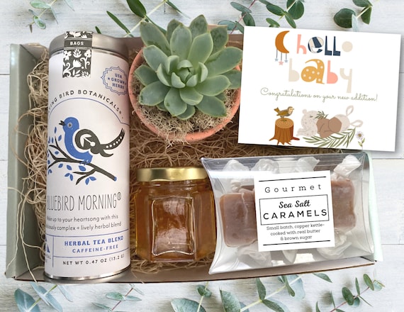 Gift Box - Tea & Plant Gift box - New Baby care package with succulent, tea, honey and caramels - Gift for New Parents