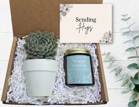 Sending Hugs Gift -  Gift For Friend - Gift Box - Succulent Gifts - Gift for Sending Hugs
