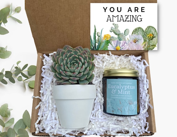 You Are Amazing Gift -  Plant & Candle Gift - Gift Box for Friend - Succulent Gifts - Gift for Appreciation - Encouragement Gift