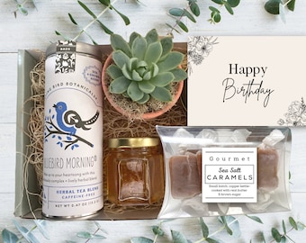 Birthday Gift Box - Tea & Plant Gift Basket - Care Package - Happy Birthday - Gift for Friend - Birthday Succulent Gifts for Plant Lover