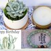 Succulent & Bracelet Birthday Gift Box - Happy Birthday Gift - Best Friend Gift - Send a Gift - Gifts that Grow 