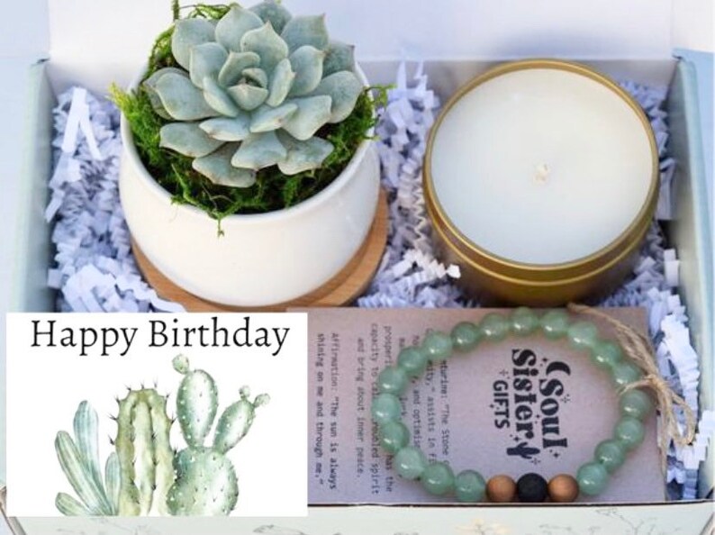 Succulent & Bracelet Birthday Gift Box - Happy Birthday Gift - Best Friend Gift - Send a Gift - Gifts that Grow 