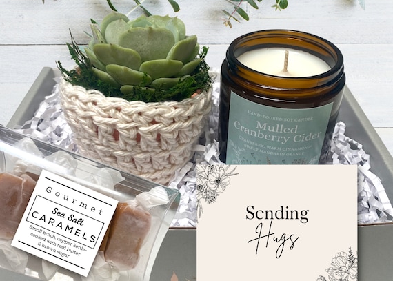 Sending Hugs Gift Box - Care Package - Plant Gift Box - Succulent with plant cozy, soy candle and sea salt caramels in decorative gift box
