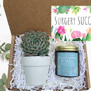 Caixa de presente suculenta - Surgery SUCCS! Gift - Caixa de presente para melhorar logo - Envie um presente - Presentes suculentos - Presentes que crescem - Pacote suculento