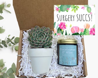 Succulent Gift Box - Surgery SUCCS! Gift - Get Well Soon Gift Box - Send a Gift - Succulent Gifts - Gifts that Grow - Succulent Package