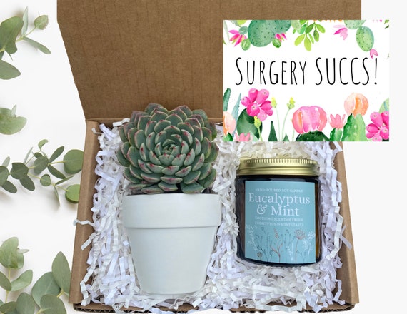 Succulent Gift Box - Surgery SUCCS! Gift - Get Well Soon Gift Box - Send a Gift - Succulent Gifts - Gifts that Grow - Succulent Package