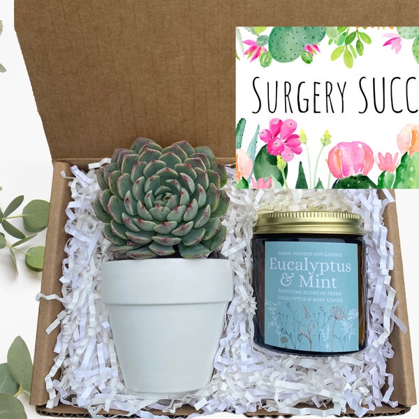 Succulent Gift Box - Surgery SUCCS! Gift - Get Well Soon Gift Box - Send a Gift - Succulent Gifts - Gifts that Grow - Succulent Package