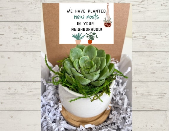Meet the Neighbors Mini Succulent Gift - Succulent Care package - Succulent Gift Box - Gifts that Grow - Introduction Gift to New Neighbors