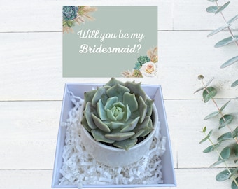 Bridesmaid Proposal Gift - Succulent Gift - Plant Gift - Succulent Gift - Gifts that Grow -Bridesmaid Favors - Will You Be My Bridesmaid?