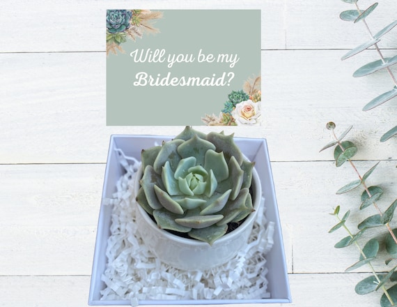 Bridesmaid Proposal Gift - Succulent Gift - Plant Gift - Succulent Gift - Gifts that Grow -Bridesmaid Favors - Will You Be My Bridesmaid?