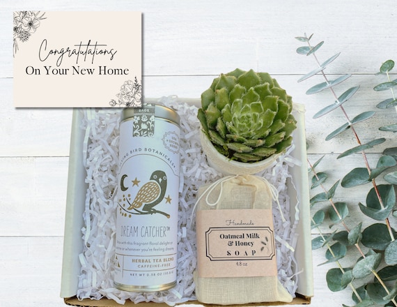 New Home Care Package - Plant Gift Box  - Succulent, Tea & Oatmeal Soap - Housewarming Gifts