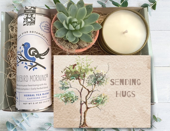 Gift Box - Tea & Plant Gift box - Sending Hugs Gift - Care package with succulent, tea, and soy candle - Sympathy Gift - Thinking of You