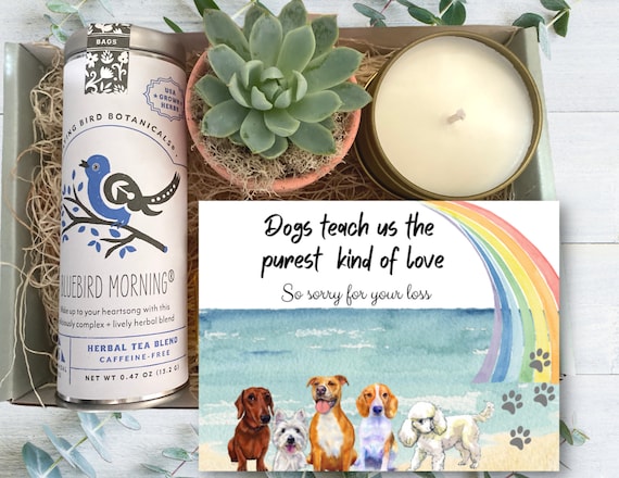 Pet Loss Gift - Choose Your Card - Plant, Tea & Soy Candle - Sympathy Gift - Thinking of You - Sorry for your loss