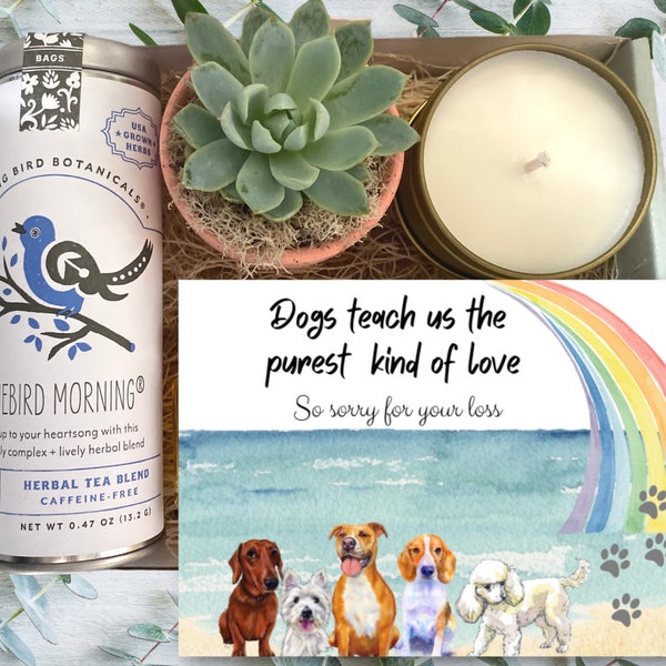 Pet Loss Gift - Choose Your Card - Plant, Tea & Soy Candle - Sympathy Gift - Thinking of You - Sorry for your loss