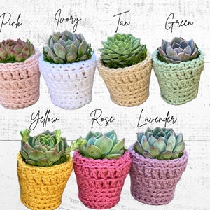 May include: Ten crocheted succulent pots in various colors, including pink, ivory, tan, green, yellow, rose, and lavender. Each pot features a different color and is filled with a small succulent plant.