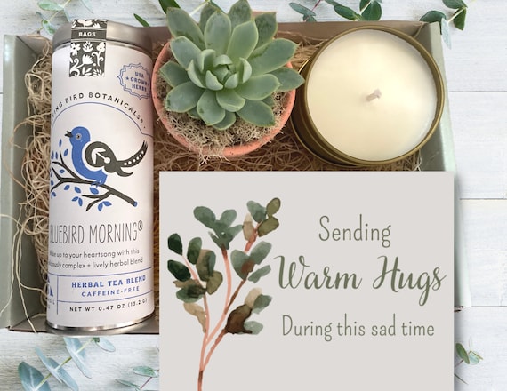 Sympathy Gift Box - Tea & Plant Gift box - Sending Warm Hugs Gift - Care package with succulent, tea, and soy candle - Thinking of You