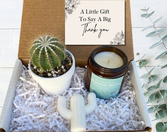 Thank You Gift -  Cactus Gift Box - A Little Gift To Say A BIG Thank You - Cactus Gifts - Gift for Appreciation - Employee Gifts