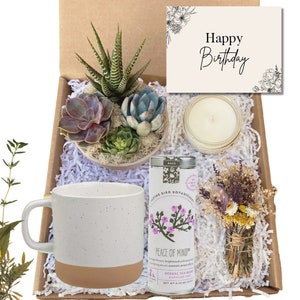 Cesto regalo di buon compleanno - Pacchetto di assistenza per il compleanno - Regalo di compleanno - Regalo di composizione di piante grasse - Cesto regalo di buon compleanno