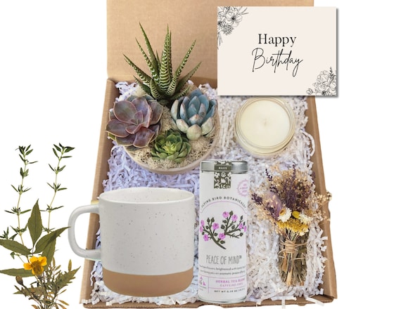Happy Birthday Gift Basket - Care Package For Birthday - Birthday Gift - Succulent Arrangement Gift - Happy Birthdayt Gift Basket