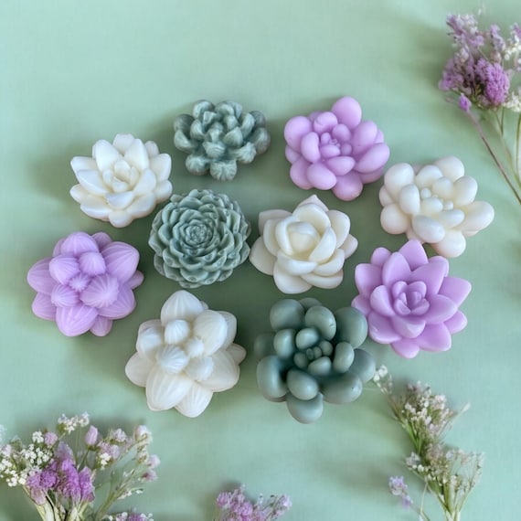 Build a Box Item - Mini Succulent Soap Set - Set of 5 Succulent Soaps in Kraft Box - Scented Soap Favors