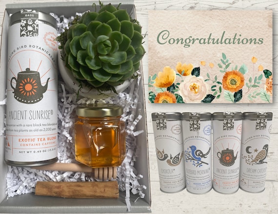 Congratulations Succulent & Tea Box - Plant Gifts - Housewarming Box - Realtor Client Gifts - New Job/Promotion Gift -Succulent and Tea Gift