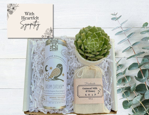 Sympathy Care Package - Plant Gift Box  - Succulent, Tea & Oatmeal Soap - Sympathy Gifts