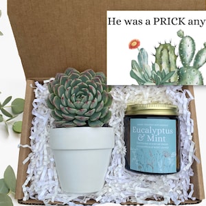 Breakup Gift - He was a PRICK anyway Gift Box - Divorce Gift - Succulent Gifts - Gifts that Grow - Friend Support Gift Box