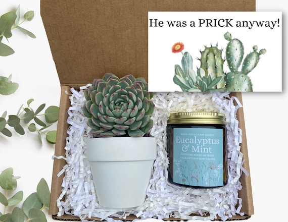 Breakup Gift - He was a PRICK anyway Gift Box - Divorce Gift - Succulent Gifts - Gifts that Grow - Friend Support Gift Box