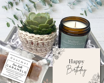 Birthday Gift Box - Tea & Plant Gift Basket - Care Package - Happy Birthday  - Gift for Friend - Birthday Succulent Gifts for Plant Lover - Etsy