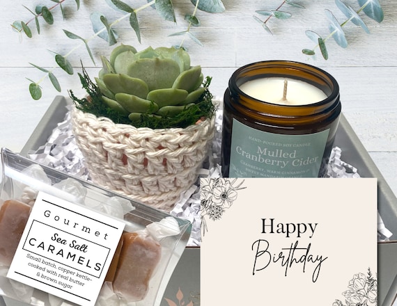 Happy Birthday Gift Box - Care Package - Plant Gift Box - Succulent with plant cozy, soy candle and sea salt caramels - Birthday Gift Box