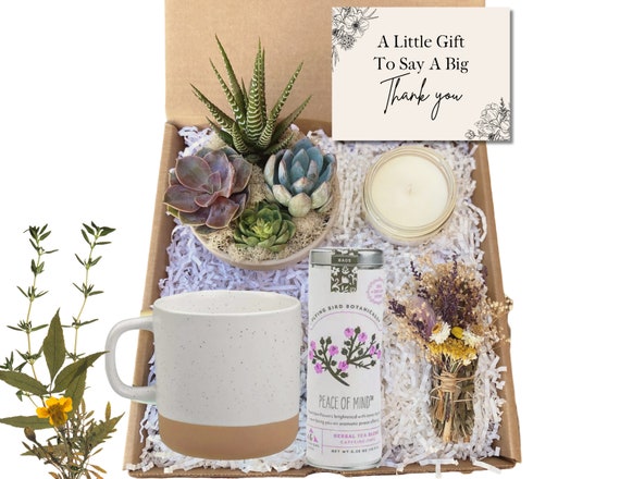 Thank You Gift Basket - Thank You Care Package - Appreciation Gift - Succulent Arrangement Gift - Thank You Gifts