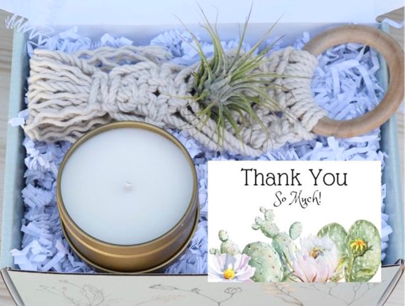 Macrame Air Plant Gift Box Macrame Air Plant Hanger Gifts that Grow Thank You Gift Appreciation Gift Box