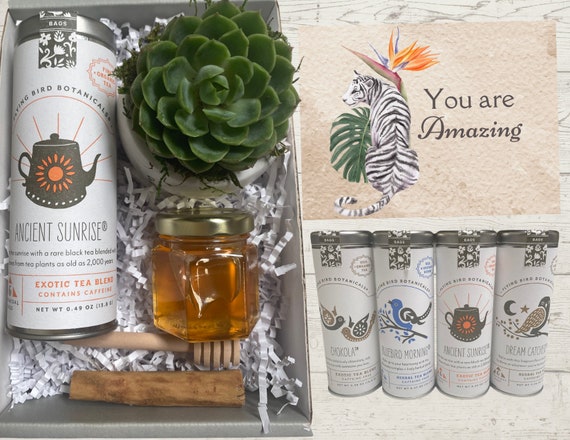 You Are Amazing Succulent & Tea Box - Care Package - Appreciation Plant Gifts - Succulent and Organic Tea Gift Box - Gifts for Employees