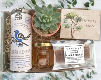Confezione regalo - Confezione regalo con tè e piante - Pacchetto "Un abbraccio affettuoso" con piante grasse, tè, miele e caramelle - Regalo per pensare a te - Regali per i clienti