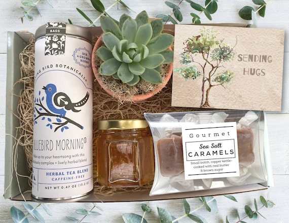Gift Box - Tea & Plant Gift box - Sending Hugs care package with succulent, tea, honey and caramels - Thinking of You Gift - Client Gifts