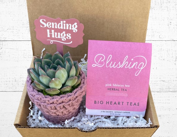 Sending Hugs Gift Box - Care Package - Plant Gift Box - Succulent with Plant Cozy, Sending Hugs Plant Stake and Tea for Two