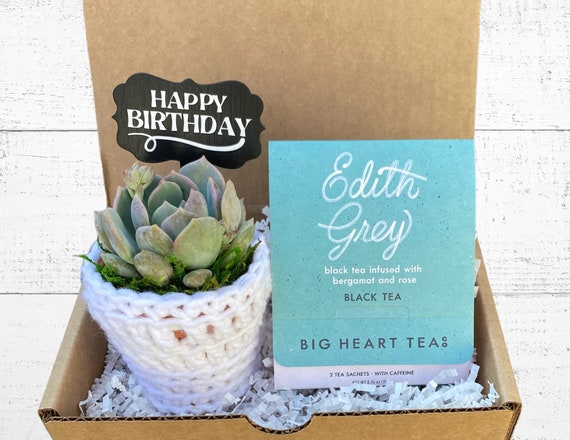 Happy Birthday Plant Box With Succulent - Tea Time Care Package - Succulent with Plant Cozy, Happy Birthday Plant Stake and Tea for Two