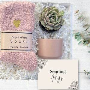 Sending Hugs Gift - Pink Gift Box - Pink Fuzzy Socks Gift - Pink Planter Gift for Her - Sending Hugs Care Package