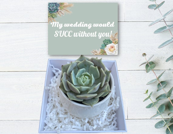 Wedding Favors - Mini Succulent Care Package- Plant Gift Basket - Succulent Gift - Gifts that Grow - My Wedding Would SUCC Without You