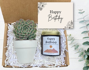 Birthday Gift Box - Best Friend Gift - Coworker Birthday - Succulent Gifts - Happy Birthday Candle Gift - Birthday Care Package