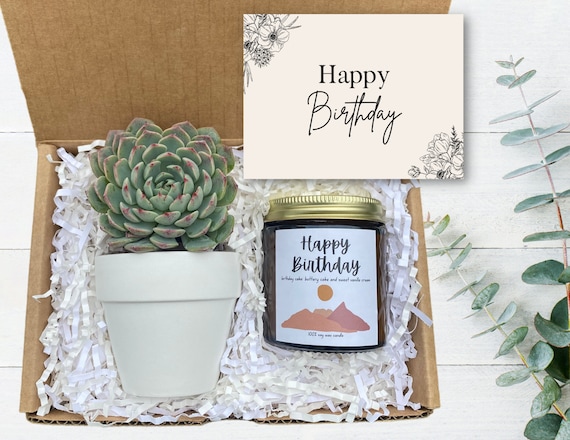 Birthday Gift Box - Best Friend Gift - Coworker Birthday - Succulent Gifts - Happy Birthday Candle Gift - Birthday Care Package