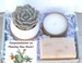 New Home Succulent Gift Box - Congratulations on Planting New Roots - Relaxation Gift - Self Care Set - Rest & Relaxation - Organic Soap 