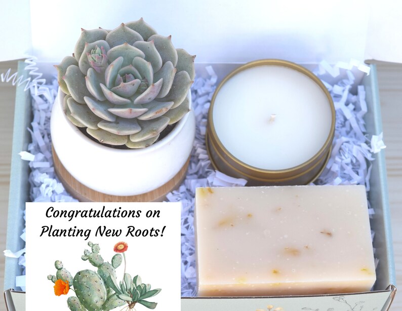 New Home Succulent Gift Box - Congratulations on Planting New Roots - Relaxation Gift - Self Care Set - Rest & Relaxation - Organic Soap 