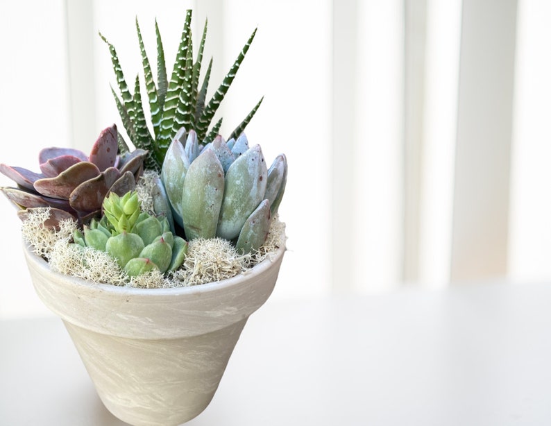 Happy Birthday Gift Basket Care Package for Birthday Etsy