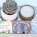 Succulent & Bracelet Gift Box - My Life Would Succ Without You - Best Friend Gift - Send a Gift - Succulent Gifts - Gifts that Grow 