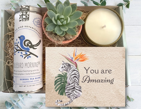 Gift Box - Tea & Plant Gift box - You Are Amazing Gift - Care package with succulent, tea, and soy candle - Employee Gift - Teacher Gift