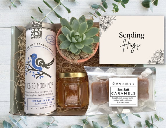 Sending Hugs Gift Box - Tea & Plant Gift Basket - Care Package - Thinking of You - Gift for Friend - Sending Hugs Gift Basket - Comfort Gift