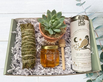 Tea & Plant Gift box - Choose Your Card - New Home Gifts - Birthday Gifts - Sympathy Gift - Thank You - Thinking of You - Realtor Gifts