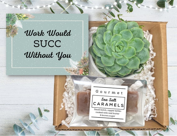 Co-Worker Gift - Succulent & Caramels Gift Box - Employee Gift Box - Client Gifts - Plant Gift Box - We'll Ship to Your Recipient's For You!